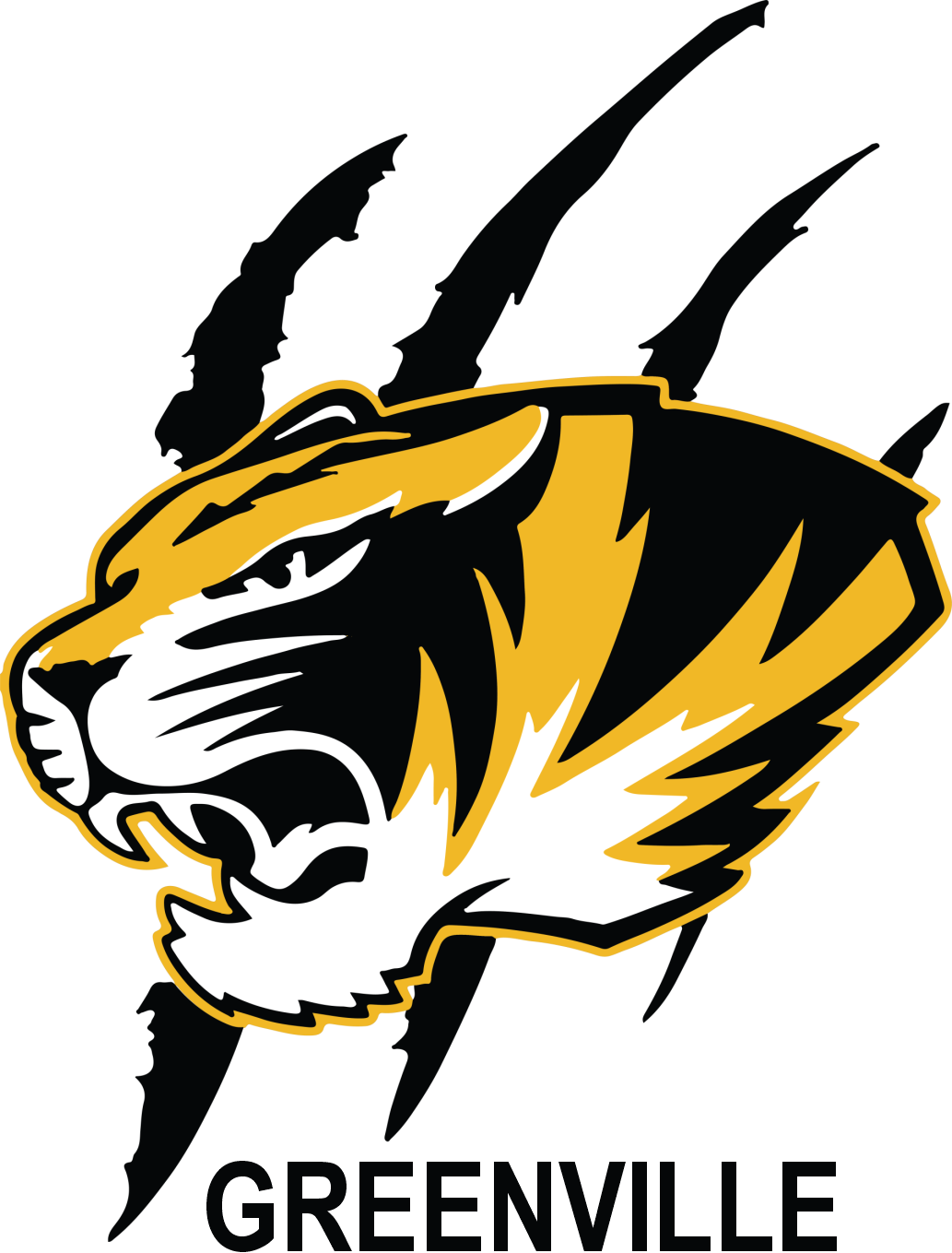 Greenville Tigers