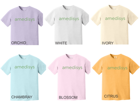 Amedisys Comfort Color Shirts